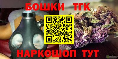 молекула духа Партизанск