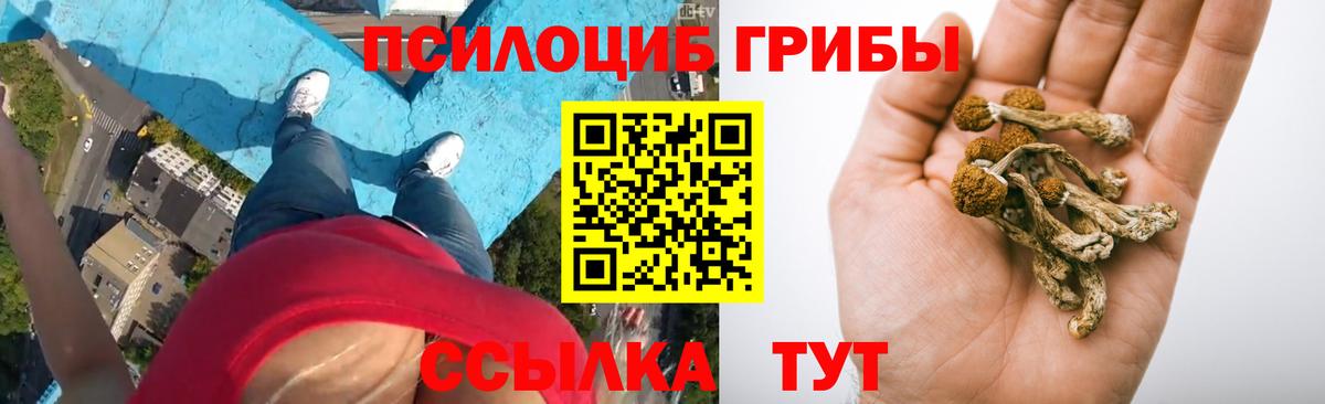 наркотики  Вход с VPN  Семёнов  Псилоцибиновые грибы GOLDEN TEACHER  Галлюциногенные грибы мухоморы 